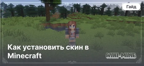 Как установить скин в Minecraft