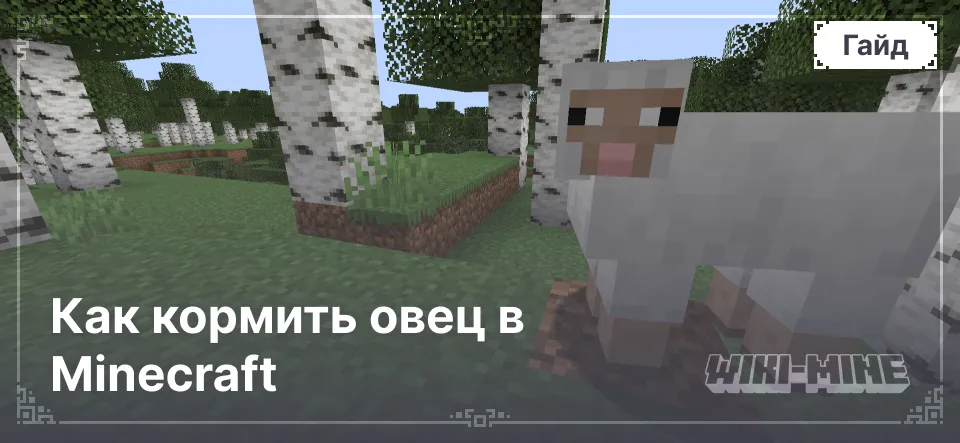 Как кормить овец в Minecraft