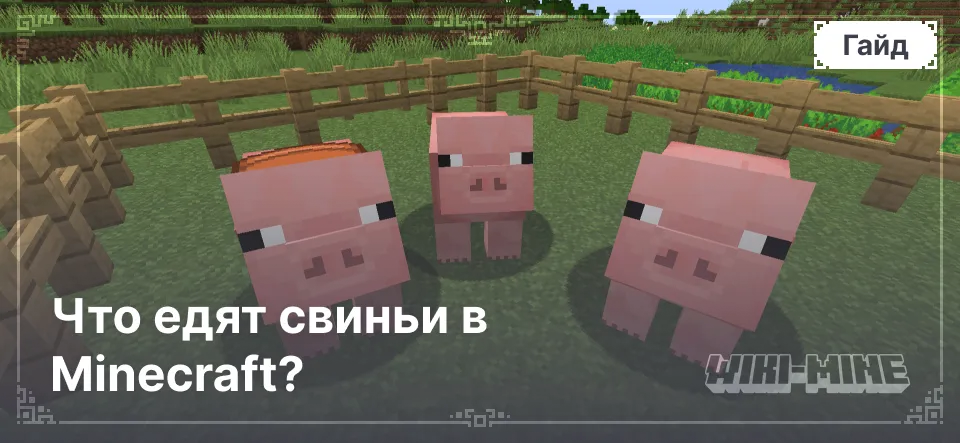 Что едят свиньи в Minecraft?