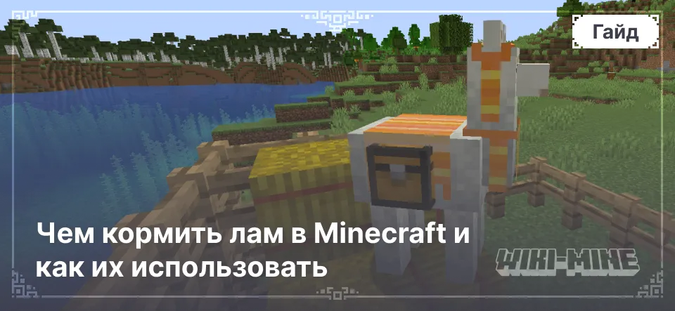 Чем кормить лам в Minecraft и как их использовать