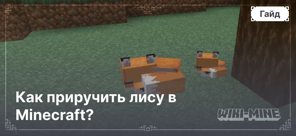 Как приручить лису в Minecraft?