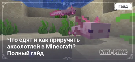 Что едят и как приручить аксолотлей в Minecraft? Полный гайд