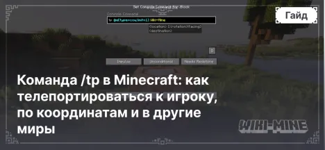 Команда /tp в Minecraft: как телепортироваться к игроку, по координатам и в другие миры
