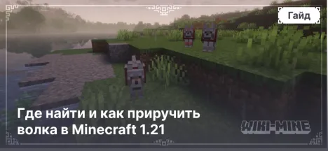 Где найти и как приручить волка в Minecraft 1.21